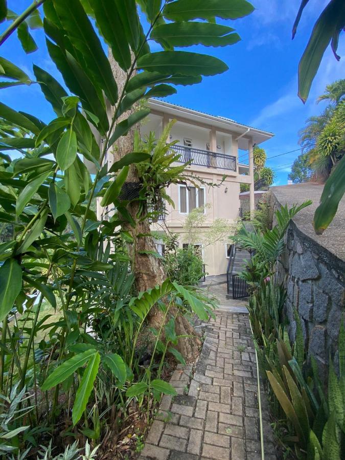 South Hill Villa Anse Royale Dış mekan fotoğraf